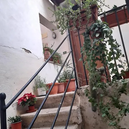 M&d * Trapani